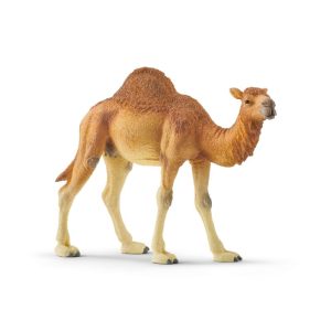 Schleich Камила едногърба 14832-03967